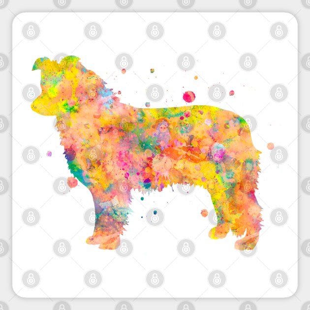 Border Collie Dog Watercolor Painting Sticker by Miao Miao Design